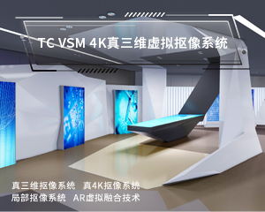 VSM虚拟真三维